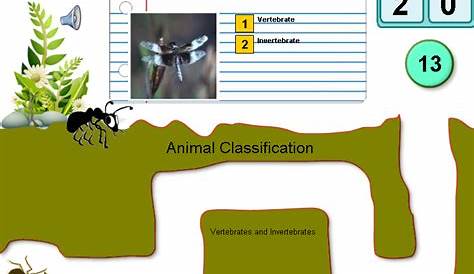 vertebrates and invertebrates similarities