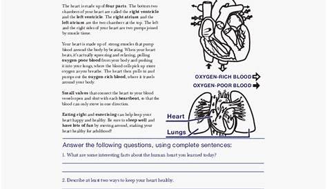 Life Science Worksheets High School, HD Png Download , Transparent Png