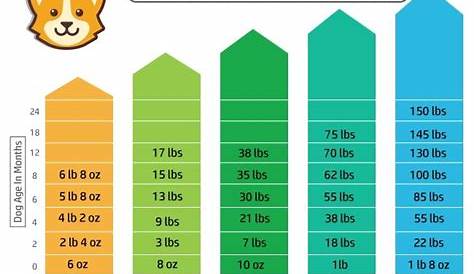 pug weight chart by age