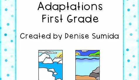 Animal Adaptation Worksheet For Grade 3 - Worksheets