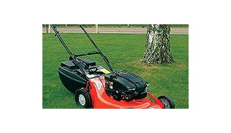 Petrol Rotary Mower - Anchorage Hire