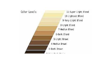 hair color chart levels
