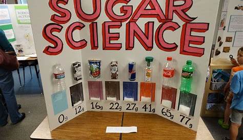 science fair ideas for 8th graders