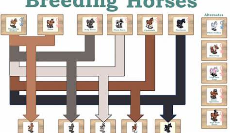 horse color breeding chart