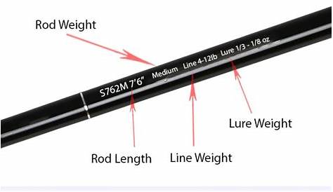 fishing rod weight chart