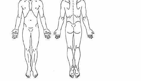 Preview Body Pain Chart
