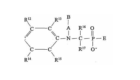 diagram of a monomer - 28 images - carbohydrates experiences with