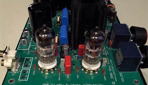 Hybrid amp with adjustable damping