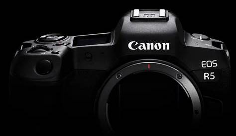 Canon R5 Manual: [Download Our Free PDF]