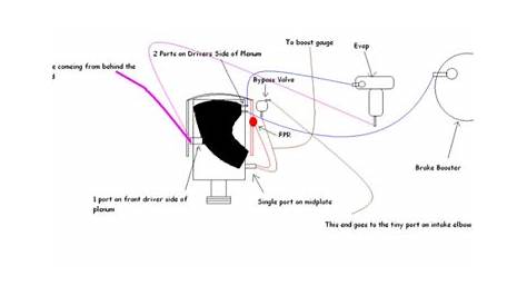 ford wiring cylonoid