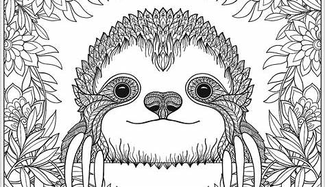 sloth coloring pages printable