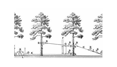tree care block rigging diagrams