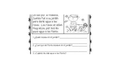 SPANISH - Reading Comprehension Passages and Questions | TpT