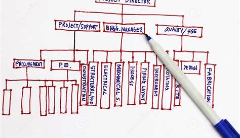 which of the following does an organizational chart display