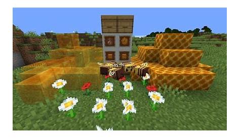 what to do with honey in minecraft