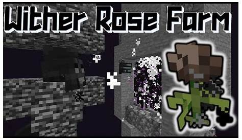 FARM DI WITHER ROSE! 1.16 - Minecraft ITA #38 - YouTube