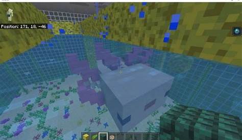 what do minecraft axolotl eat