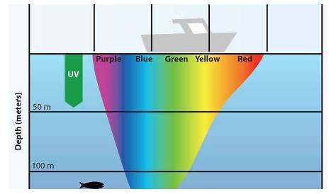 fishing lure color selection chart - Google Search | Trout and Lure