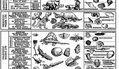 geologic time worksheet answer key