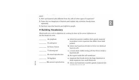 27 Viruses And Bacteria Worksheet Answers - support worksheet