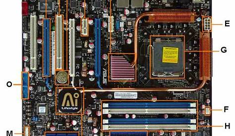 Motherboard Diagram: Identify Components for Motherboard Upgrades or