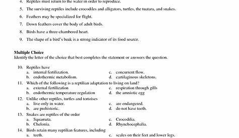 Prentice Hall Physical Science 16 Chapter Worksheets
