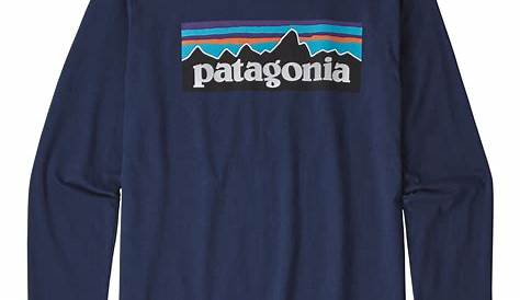 Patagonia L/S Graphic Organic T-Shirt - Longsleeve Kids | Buy online