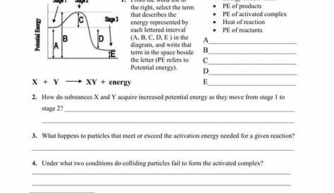 Potential Energy Diagram Worksheet Answer Key - General Wiring Diagram