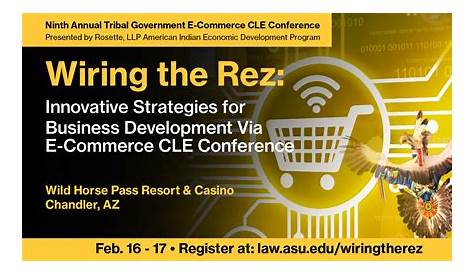 Home Wiring the Rez: Innovative Strategies for Business Development via