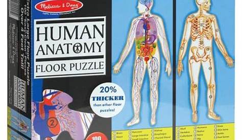 Human Body Puzzle - Teaching Resource POrtfolio