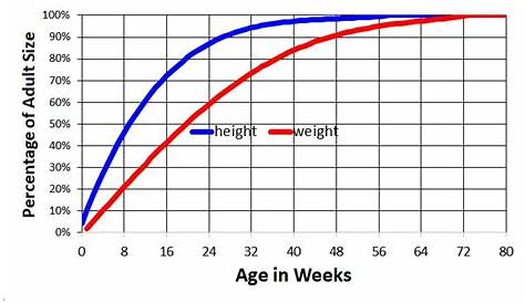 Miniature Poodle Growth. Weight and Height Calculator to Predict Growth