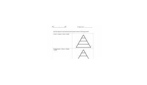 energy pyramids worksheet