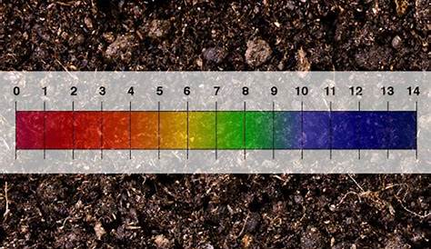 plant soil ph chart