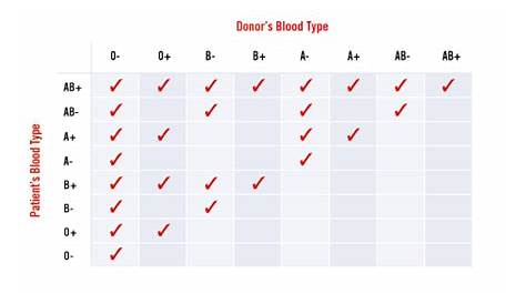Haemophilia and Blood: Which blood types are compatible with your blood