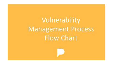 vulnerability management process flow chart