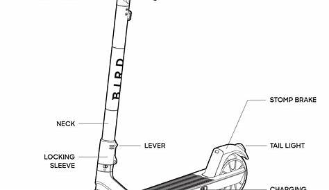 bird scooter wiring diagram