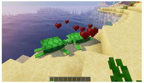 what do turtles in minecraft eat
