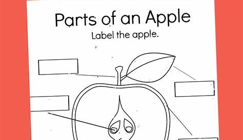 Free Printable Parts of an Apple Worksheet