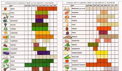 Printable Seasonal Fruit And Vegetable Chart - Printable Word Searches
