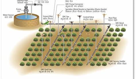 Drip Irrigation Vs Sprinkler Irrigation Farming | Agri Farming