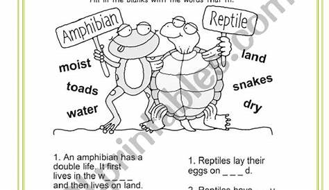 reptile and amphibian study mb worksheet