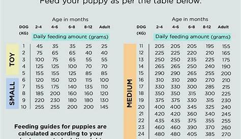 merrick puppy food feeding chart
