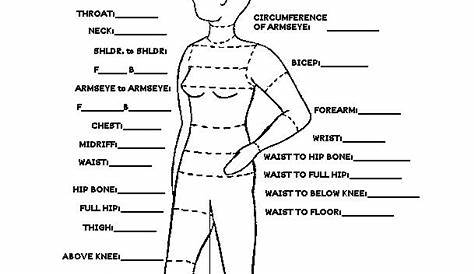 women's body measurement chart