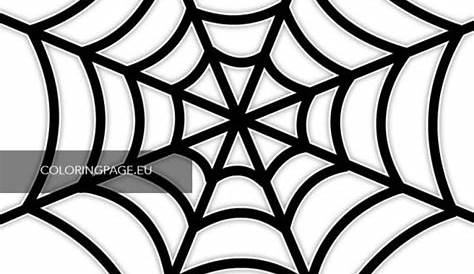spider web template pdf