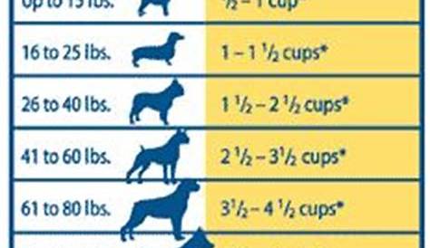 fromm large breed puppy feeding chart