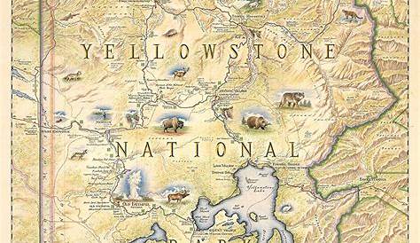 yellowstone national park maps printable