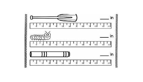 measuring worksheet for 2nd grade