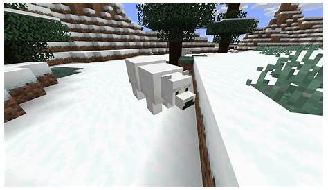 how to tame polar bears in minecraft