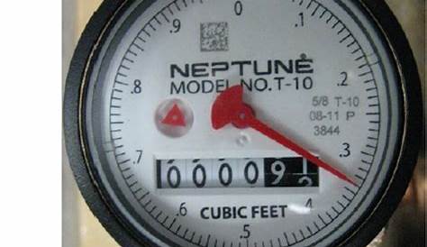 Neptune T10 Direct Read Lead Free Water Meters by Flows.com