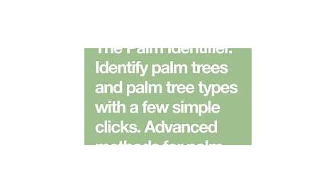identification types of palm trees chart